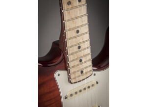 Select Stratocaster HSS Exotic Maple Flame 5