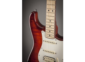 Select Stratocaster HSS Exotic Maple Flame 4