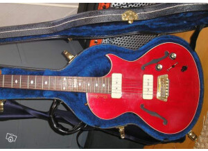 Gibson BluesHawk (9411)