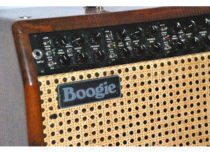 Mesa Boogie Mark Five 40th Anniversary Combo Custom 