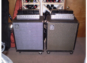 Ampeg B-15 S (12149)