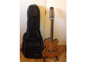 Yamaha AEX500 - Natural