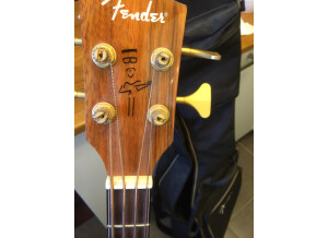 Fender Artist Signature - Victor Bailey - Nt Dao