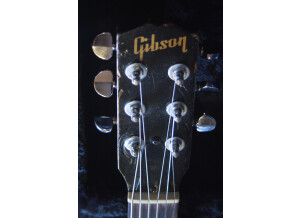 Gibson Melody Maker "D model" (2 micros) de 1962