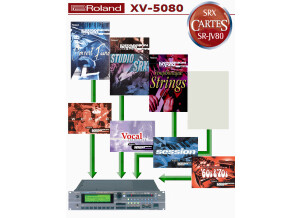 Roland XV-5050 (48306)