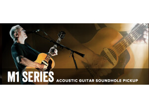 L.R. Baggs M1 Active (75179)