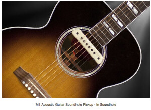 L.R. Baggs M1 Active (83261)