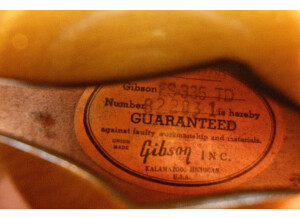 Gibson ES-335 TDC (67340)