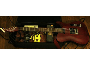 Chapman Guitars ML-3 RC (89046)