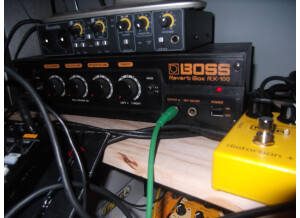 Boss RX-100 Reverb Box (65352)