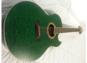 Ibanez EP7 - Resonant Forest Green