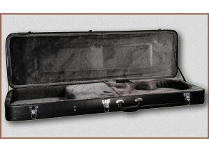 Epiphone 940-EVBCS - Viola Bass Case