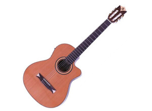 Alhambra Guitars CS-1CW E1