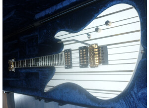 Schecter Synyster Gates Custom - White w/Gold Stripes