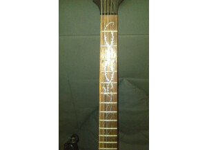 WSL Guitars The Black Bone (13265)