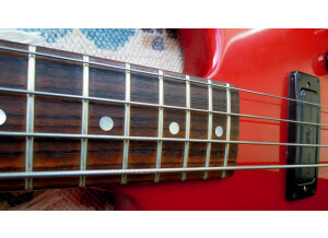 Peavey Dyna Bass I (51328)