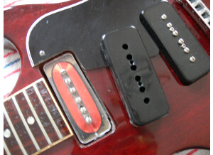 Gibson Les Paul Special (32770)
