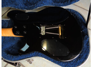 Peavey Wolfgang Standard US Archtop