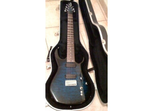 Carvin DC727 (27995)