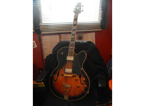 Aria Guitars pro II FA-70