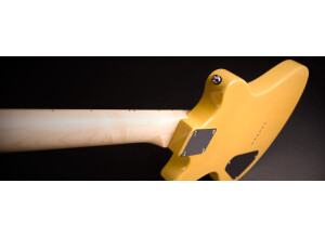 Goin\' Steady Butterscotch 4