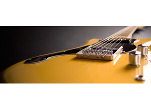 Goin\' Steady Butterscotch 3