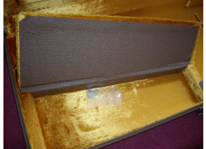 Fender Strat/Tele Multi-Fit Hardshell Case - Brown w/ Gold Plush Interior