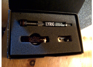 L.R. Baggs Lyric (38690)