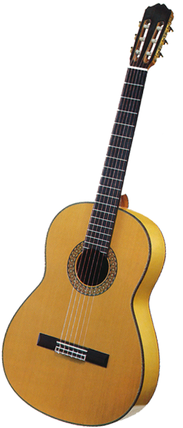 Takamine FGD136S