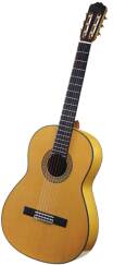 Takamine FGD136S