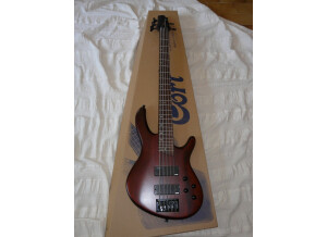 Cort C5 - Walnut Satin