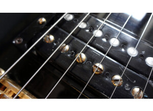 Gibson Les Paul Custom (1976) (14674)
