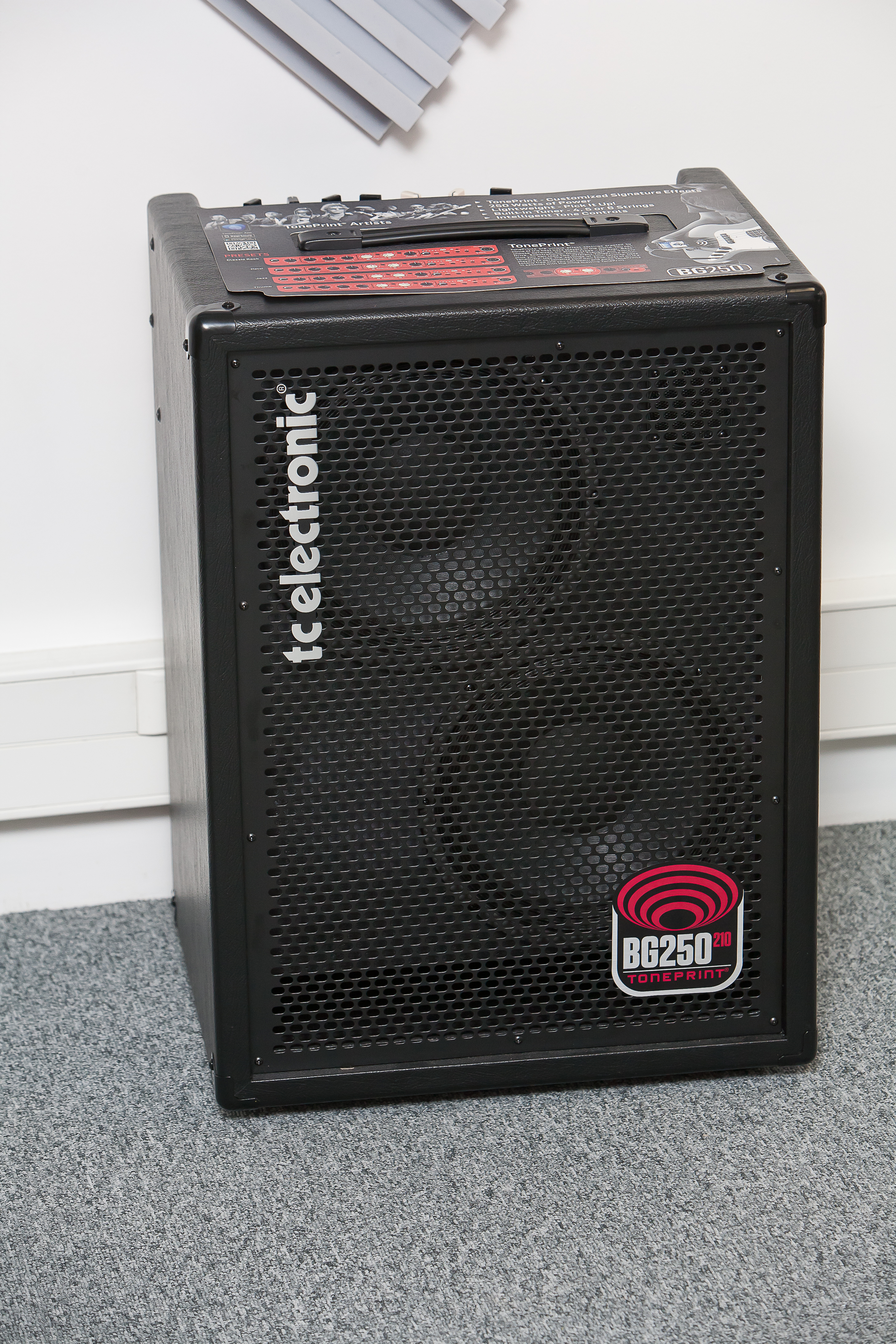 TC Electronic&nbsp;BG250-210