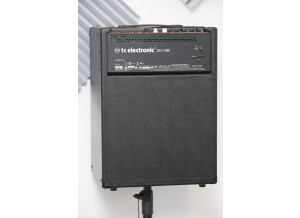 TC Electronic BG250-210 (60799)