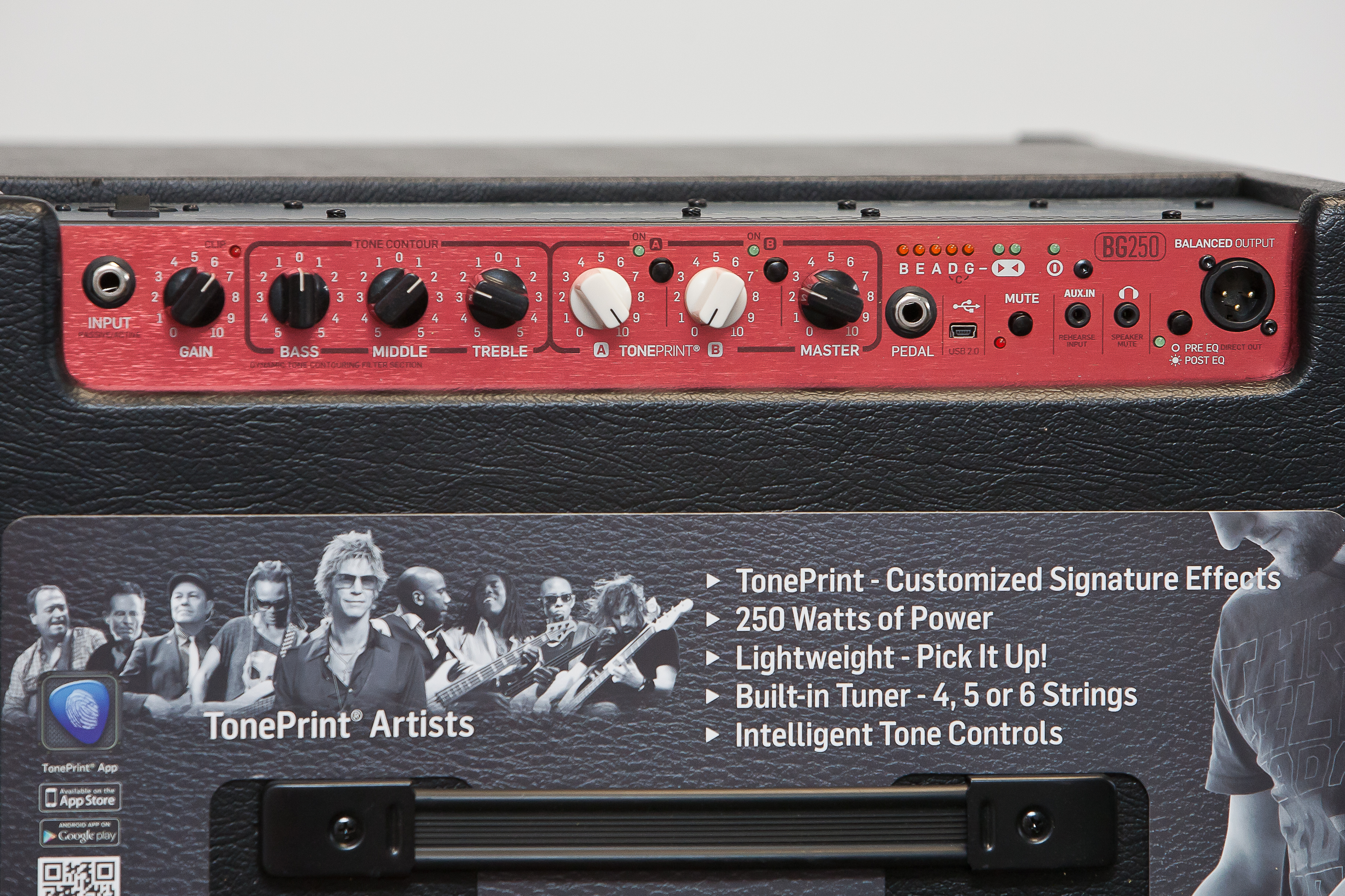 TC Electronic&nbsp;BG250-210