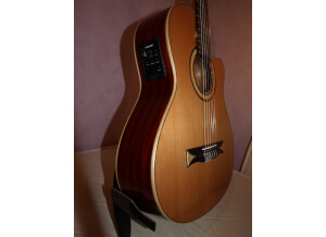 Alhambra Guitars CS-1CW E1
