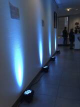 Chauvet DJ SlimPAR Tri 12 IRC