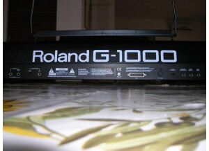 Roland G-1000 (74672)