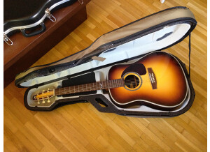 Seagull Artist Studio Burst