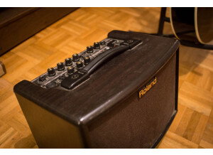 Roland AC-33-RW (2744)