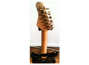 Schecter Stratocaster USA (44010)