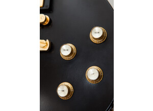 Gibson Les Paul Studio Raw Power - Satin Trans Ebony (34407)
