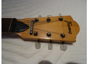 Framus Guitare Banjo 6 cordes (24516)