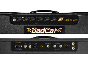 Bad Cat CUB III 15 Head