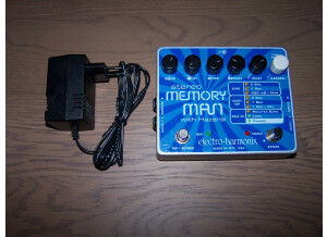 Electro-Harmonix Stereo Memory Man with Hazarai (26875)