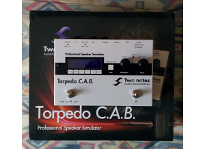 Two Notes Audio Engineering Torpedo C.A.B. (Cabinets in A Box) (78802)