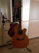 Takamine EN40C