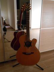 Takamine EN40C