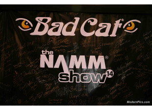 NAMM Winter 2014 D 181 ModernPics.com