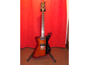 Wild Customs The Firewild Standard Premium (85943)